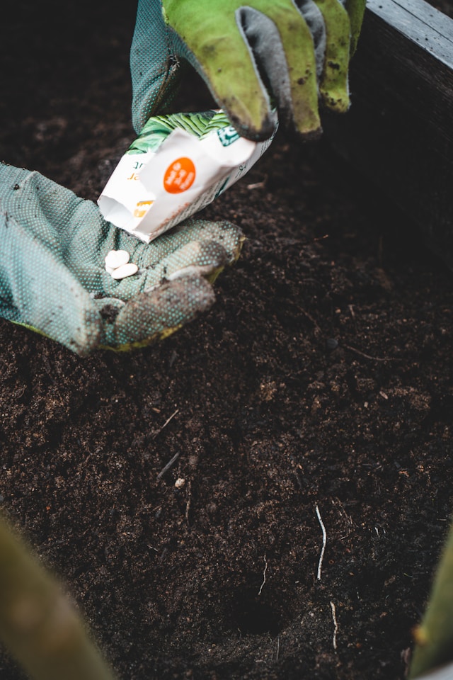 jonathan-kemper-TETEjOZUc00-unsplash