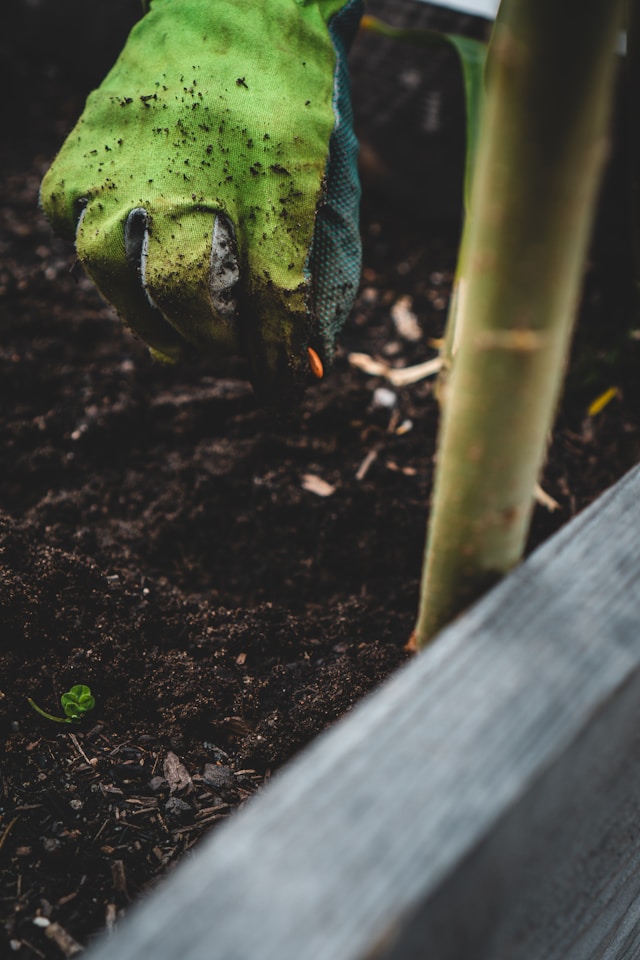 jonathan-kemper-wzYc-_TIk8o-unsplash